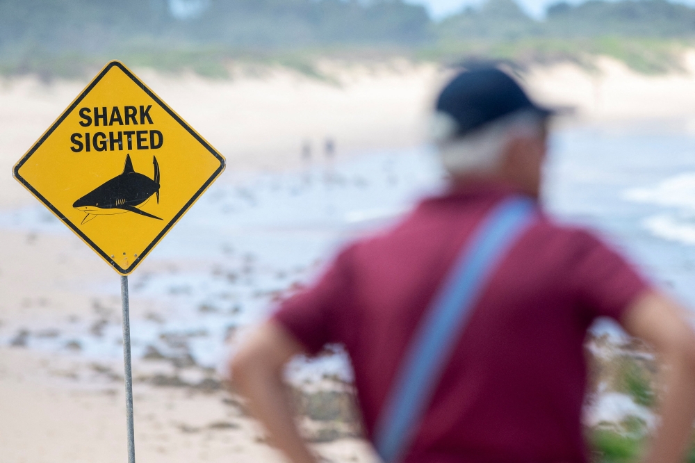 Warning signs are in place, and beaches are closed after a surfer suffered a shark attack today at Dee Why Beach in Sydney, Australia, January 19, 2026. — Reuters pic