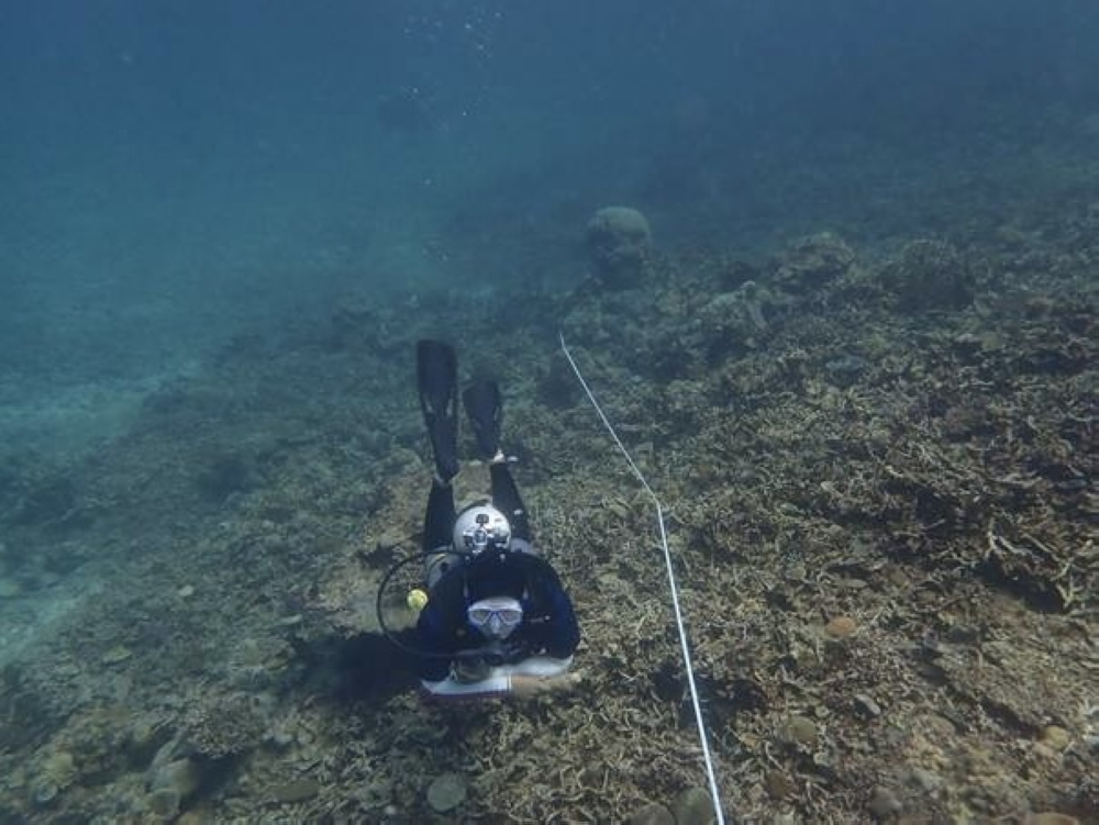 Malaysia lost 47,250 football fields’ worth of coral as reefs decline from bleaching, tourism pressure