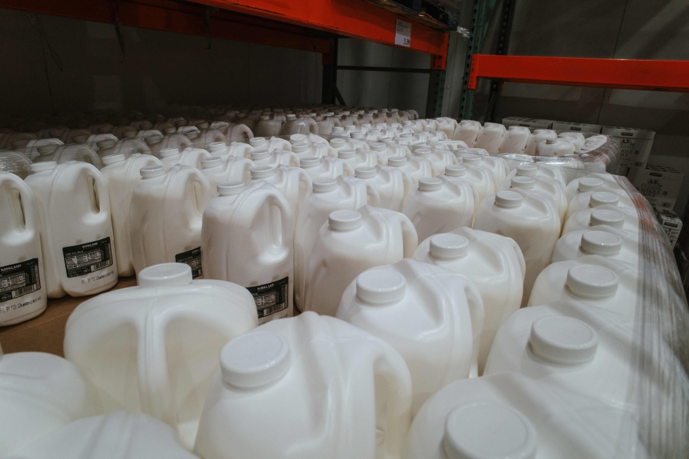 The infant formula industry in Europe has been rocked in recent weeks by several firms recalling batches that could be contaminated with cereulide, a toxin that can cause diarrhoea and vomiting. — AFP pic