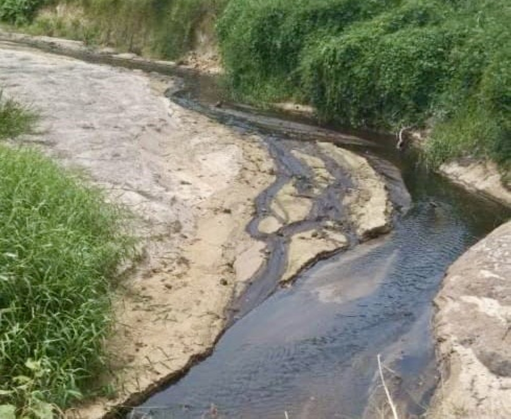 DoE suspends palm oil mill operations, arrests manager over alleged pollution at Sungai Johor