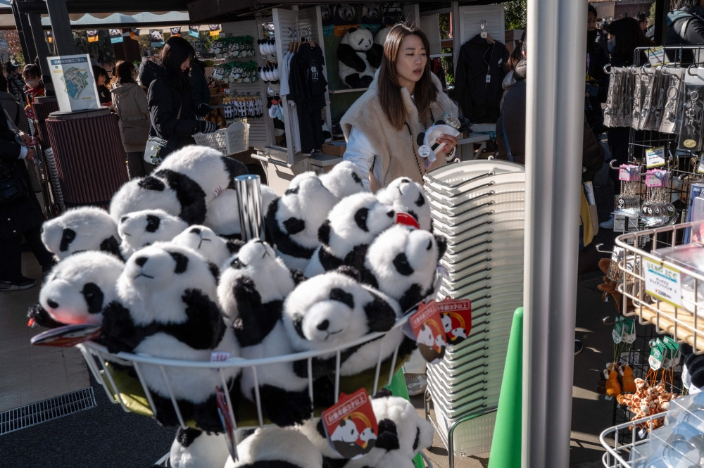 Stuffed toy panda souvenirs are seen for sale during the final day for public viewing of twin pandas Xiao Xiao and Lei Lei before their departure for China, at Ueno Zoo in Tokyo on January 25, 2026. — AFP pic 