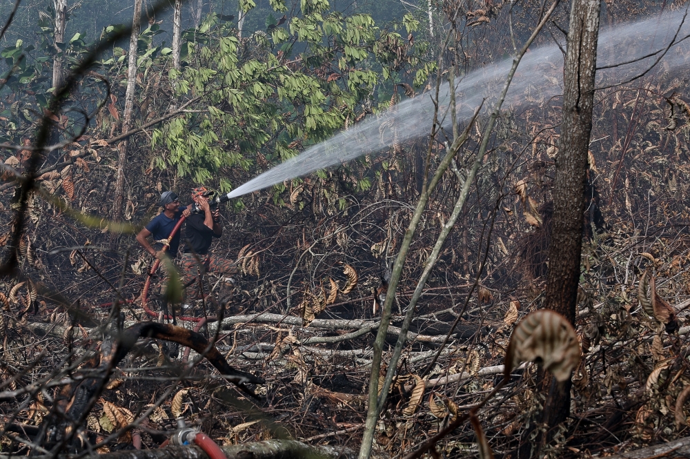 Members of the Punggai Fire and Rescue Station are busy extinguishing a peatland fire during a Bernama photo survey  January 27, 2026. — Bernama pic