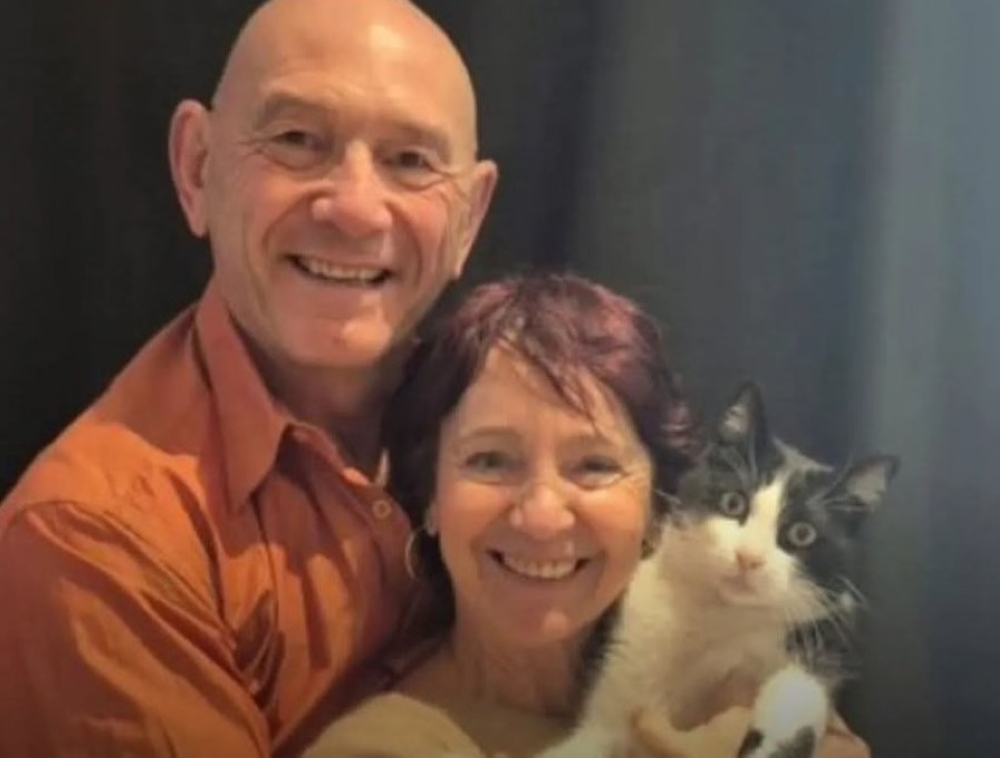 Lost on a Spanish road trip, this French cat walked 250km home to find his humans