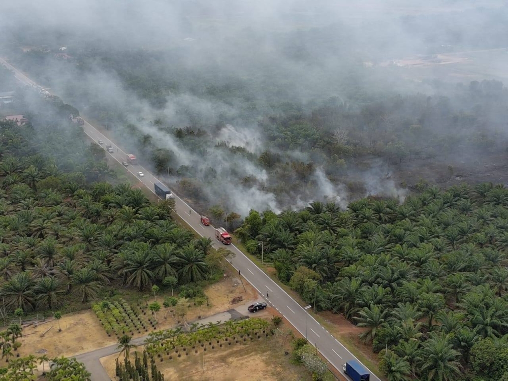 Why peatland fires in Johor are so hard to control — and why they keep coming back