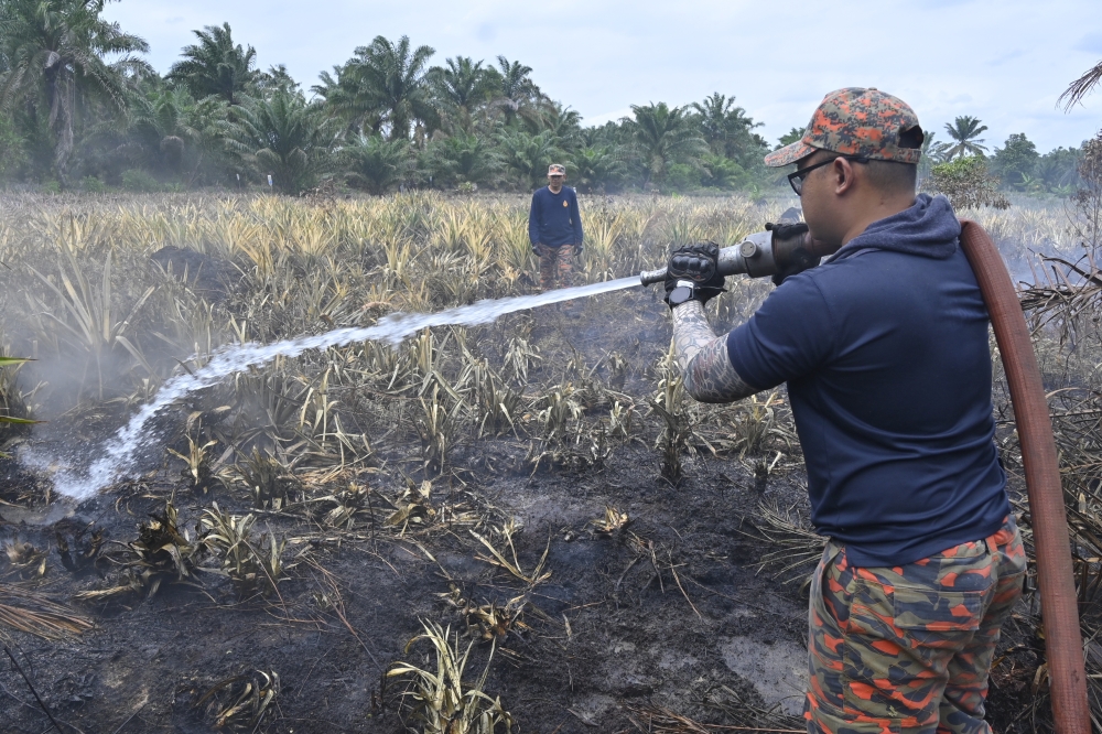 Firefighters put out blaze at pineapple farm in Muar, January 30, 2026. — Bernama pic