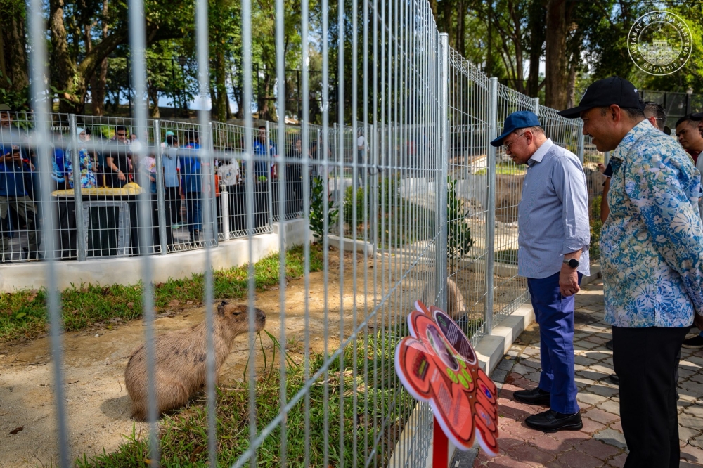 Prime Minister Datuk Seri Anwar Ibrahim hopes that Johor Zoo will continue to be enhanced as a recreation, education and state heritage centre that benefits the people. — Picture via Facebook/Anwar Ibrahim