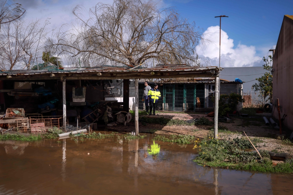 A man stands on his flooded yard, placed on a bank of the Tagus river, in the aftermath of Storm Leonardo, in the Portuguese village of Porto Alto, Benavente, on February 6, 2026. — AFP pic