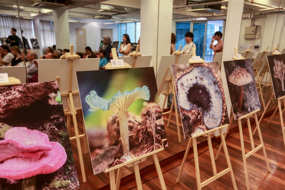 The photo exhibition features mushroom photography and live specimens at the Friends of Fungi and Slime Mold exhibition at Jaya One, February 7, 2026. — Picture by Sayuti Zainudin