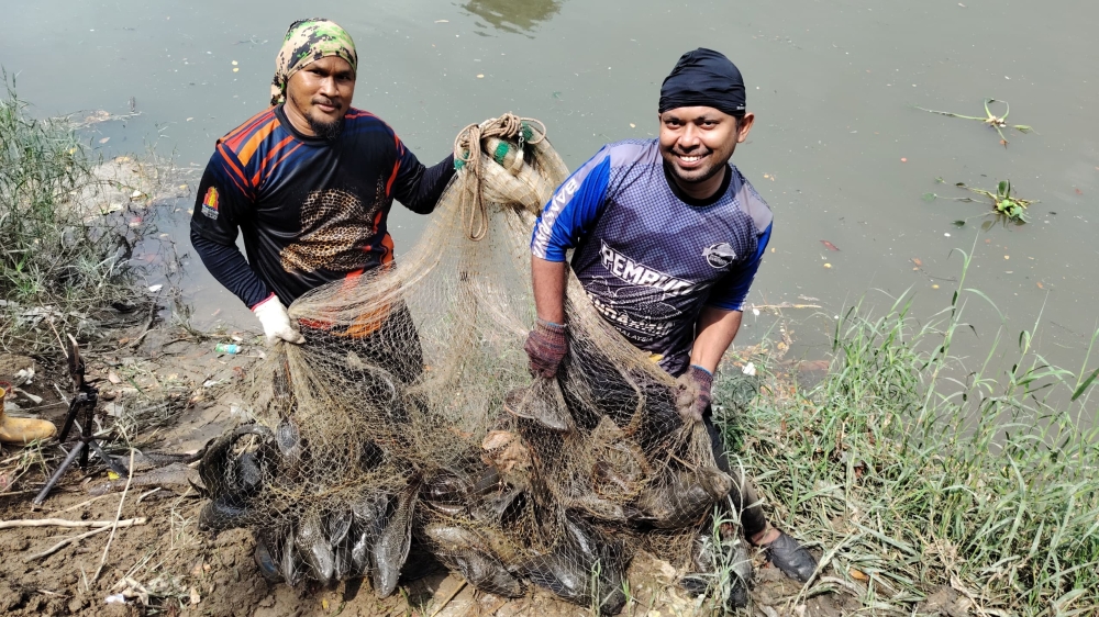 SPIA members net invasive fish species from rivers across Peninsular Malaysia, including suckermouth catfish, African catfish and alligator gar. — Picture courtesy of Mohamad Haziq A Rahman