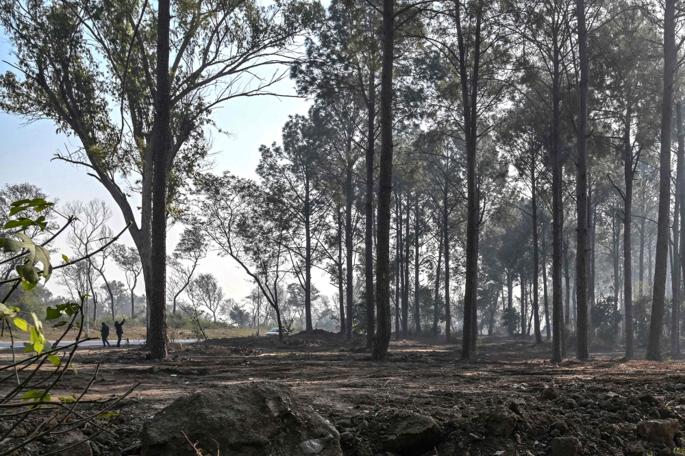 This photograph taken on January 7, 2026 shows the site of a plantation drive after felling trees of the Shakarparian forest in Islamabad. — AFP pic