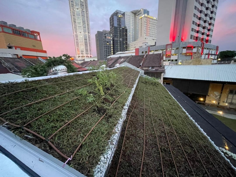 The green roof at Hin Bus Depot. — Picture courtesy of Think City