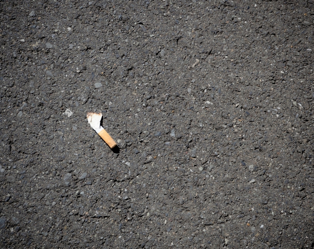 A personal driver and a tahfiz student became among the first individuals in Pahang to be charged at the Sessions Court here today for littering by discarding cigarette butts in a public place. — Unsplash pic/Yuika Takamura