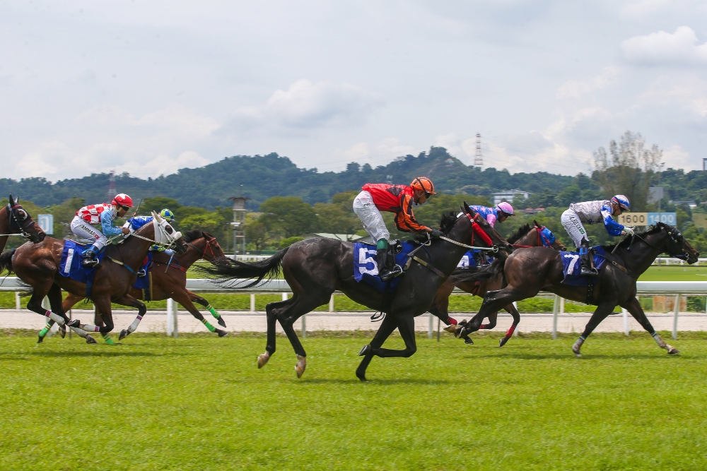 Unique racing silks and colours are used to represent a horse's owner and to allow race commentators and spectators to easily differentiate between racehorses. — Picture by Yusof Mat Isa