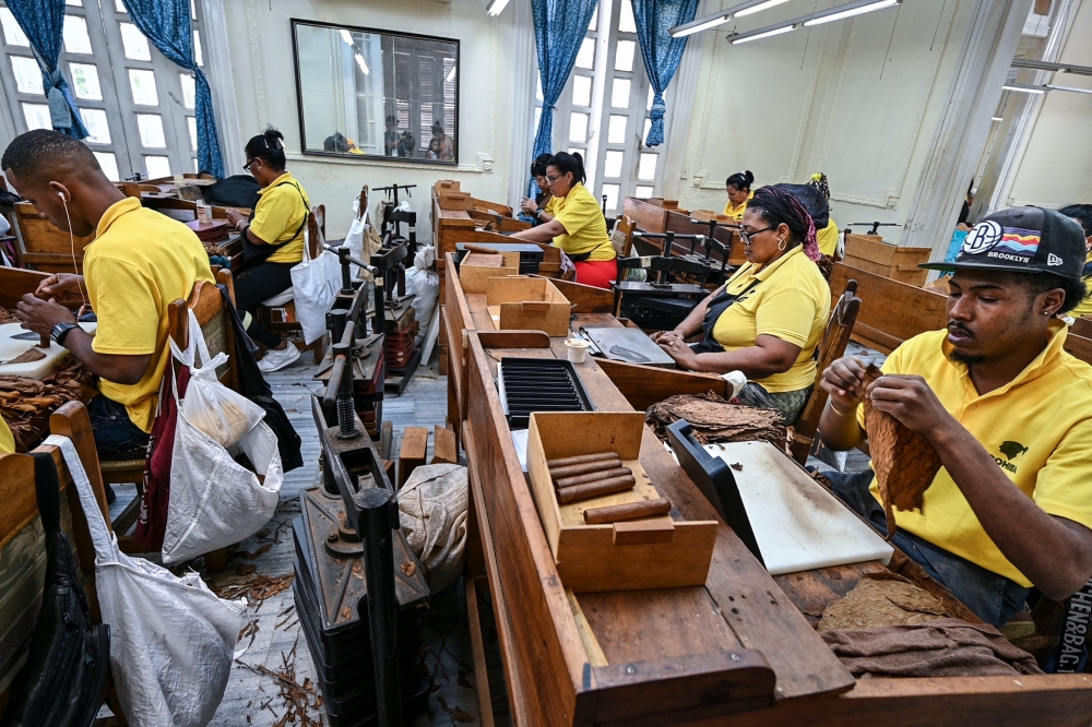 Workers roll cigars at cigar manufacturer El Laguito on February 29, 2024, during the XXIV International Habano Festival in Havana. — AFP pic 