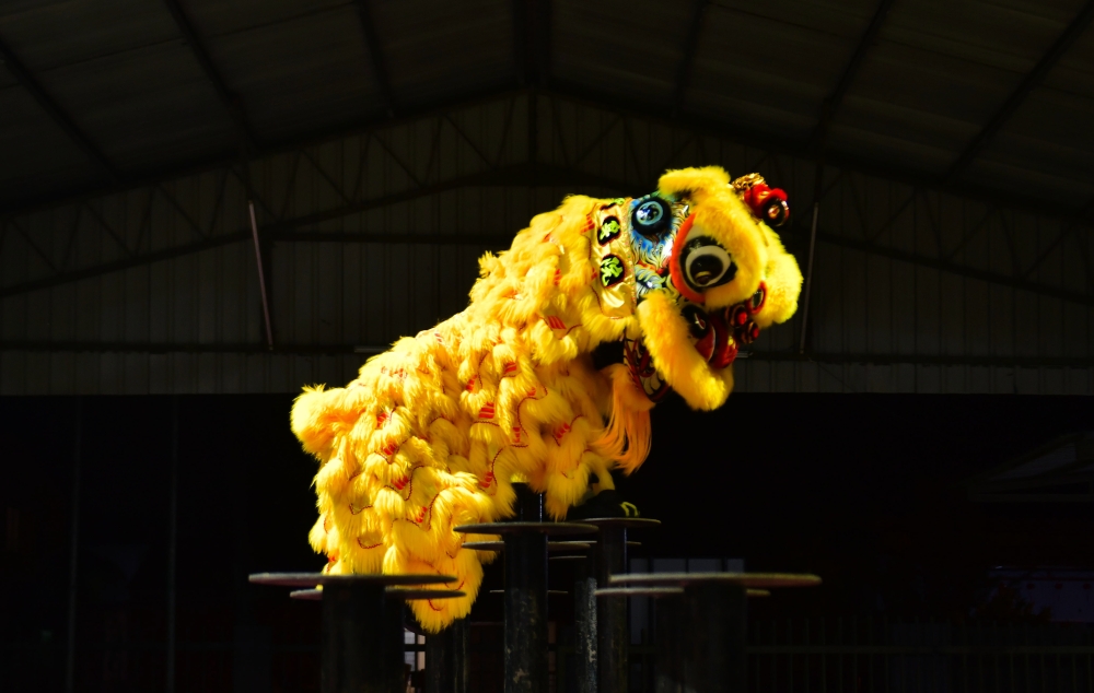 The Chinese Martial Art Association (CMAA) is intensifying efforts to ensure the lion dance tradition continues to thrive among the younger generation. — Bernama pic