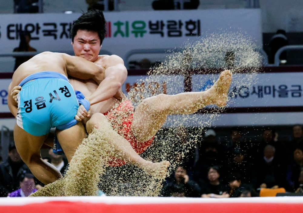 Ssireum wrestlers, athletes of Korea's traditional wrestling, compete during a Lunar New Year Ssireum championship at the Taean Complex Indoor Gymnasium in Taean, South Korea, February 14, 2026. — Reuters pic