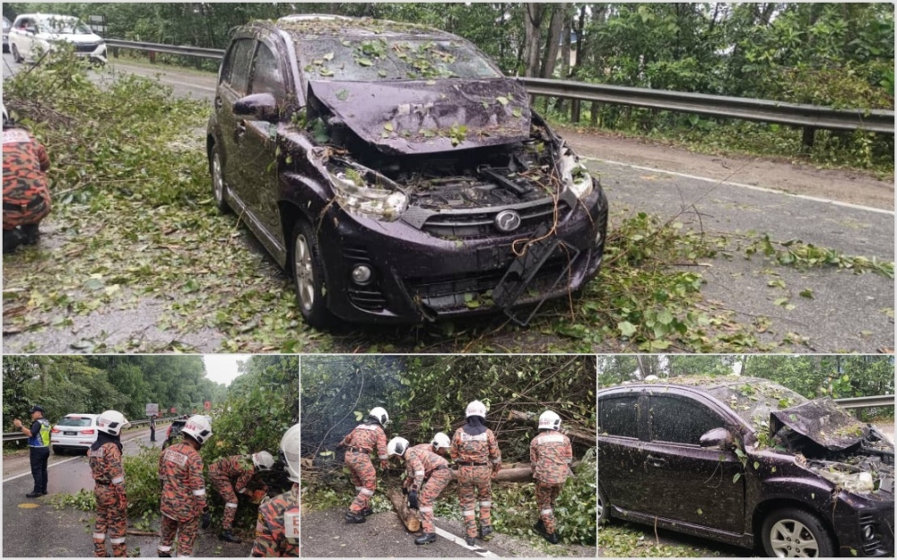 A tree fell onto a Perodua Myvi driven by a 41-year-old woman along the Ipoh-Lumut Highway. — Picture courtesy of Perak Fire and Rescue Department