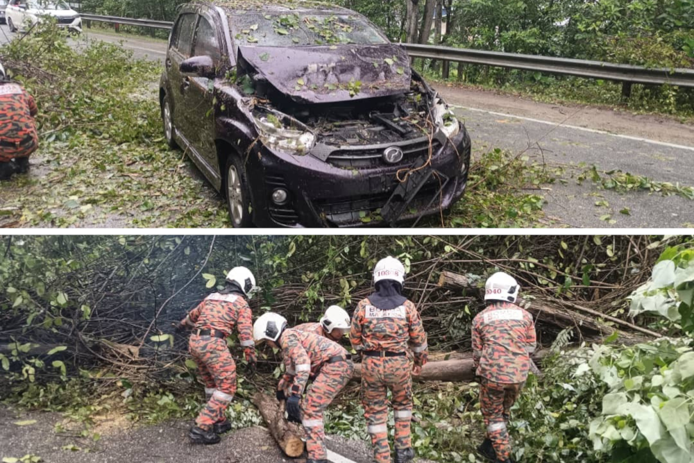 A 10-meter-tall tree had fallen, crushing a Grand Livina carrying a family of five aged between 12 and 47, as well as a Proton Saga driven by a 38-year-old man who was passing through the area. — Pictures from X/Bernama 