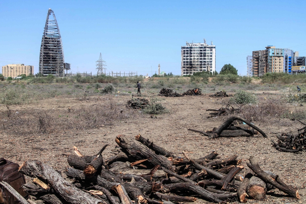 Firewood from what remains of the Sunt Forest, an urban forest mainly made of Acacia trees, are stacked in one of the oldest former green spaces in the war-torn capital Khartoum on February 7, 2026. — AFP pic 