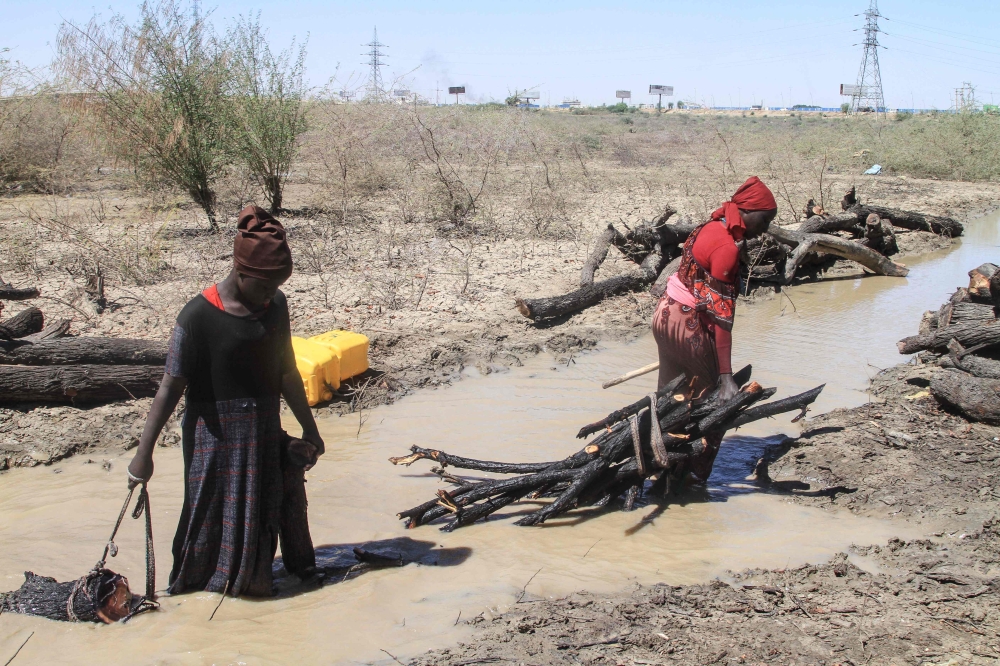 Sudanese women collect firewood from what remains of the Sunt Forest, an urban forest mainly made of Acacia trees, in one of the oldest green spaces in the capital Khartoum on February 7, 2026.— AFP pic 