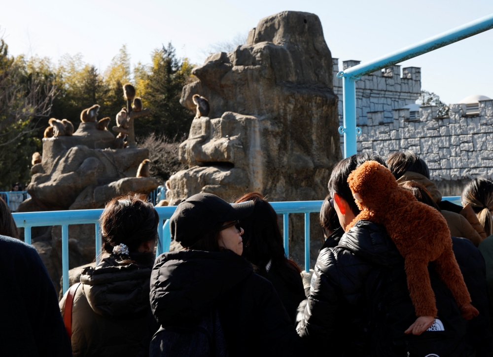 A visitor with a stuffed monkey on his bag waits to watch baby Japanese macaque Punch at Ichikawa City Zoo, in Ichikawa, Chiba Prefecture, Japan, February 19, 2026. — Reuters pic  
