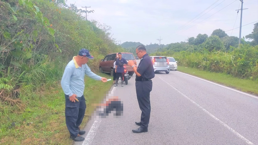 A policeman inspects the scene where an elderly woman was found lying unconscious by the roadside at Sungai Anak, Roban. — Picture courtesy of police