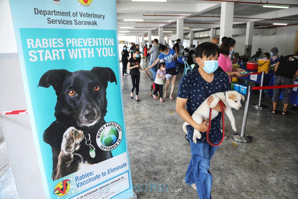 A pet owner brings his dog for vaccination at a Department of Veterinary Services Sarawak’s rabies awareness and immunisation programme. — The Borneo Post pic