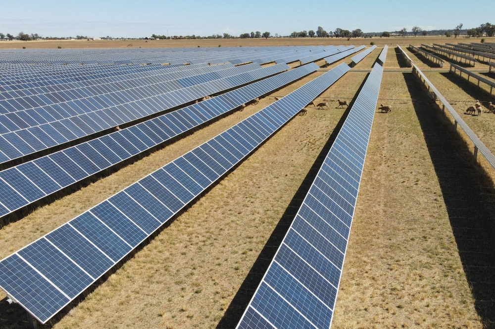 Sheep graze at the Dubbo Solar Hub, which contains over 30,000 solar panels deployed across 50 hectares at Tom Warren's farm some  400km west of Sydney. — AFP pic