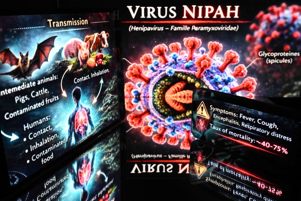 Screens display representations of the Nipah virus (Henipavirus nipahense) and information about its symptoms and modes of transmission. As of February 2026, cases of infection have been recorded in India and Bangladesh. — AFP pic