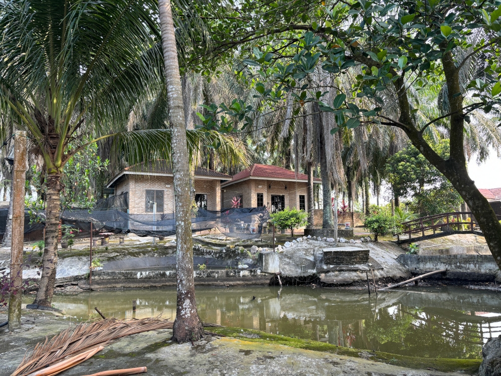 The Heartfield Sanctuary in Gopeng, Perak offers a refuge spot close to nature for youths and working adults seeking mental and emotional recovery. — Picture by John Bunyan