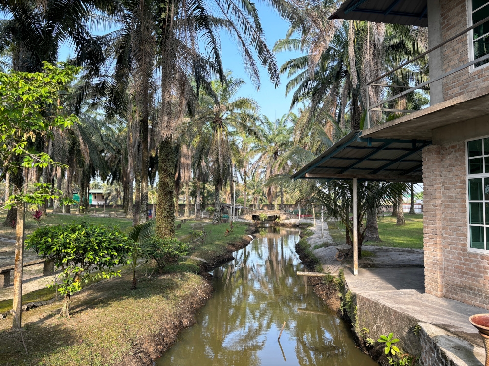 The Heartfield Sanctuary in Gopeng, Perak offers a refuge spot close to nature for youths and working adults seeking mental and emotional recovery. — Picture by John Bunyan