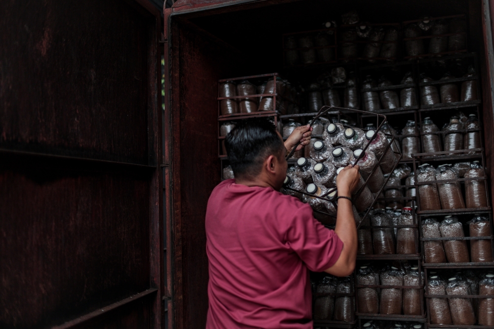 Noor Saiful Amri prepares mushroom blocks at the Saifulam Agro Farm in Benut, Pontian. — Bernama pic