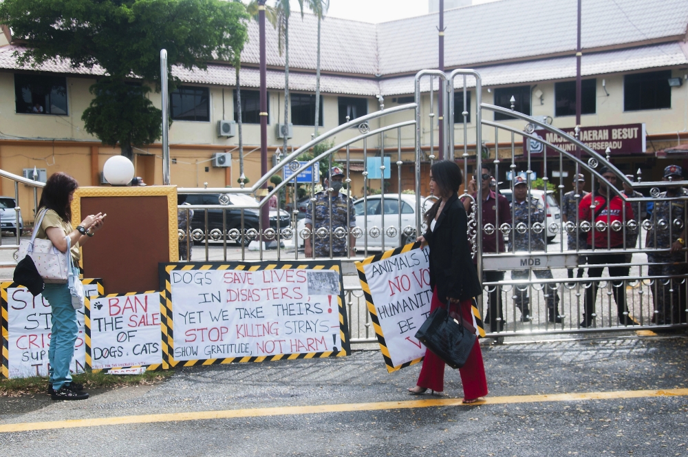 Animal rights advocate Sue Ann Kong (right) and another woman from Kuala Lumpur hold a rally demanding answers from the Besut District Council over the shooting of a stray dog named Kopi outside the council office in Jertih on October 27, 2024. — Bernama pic