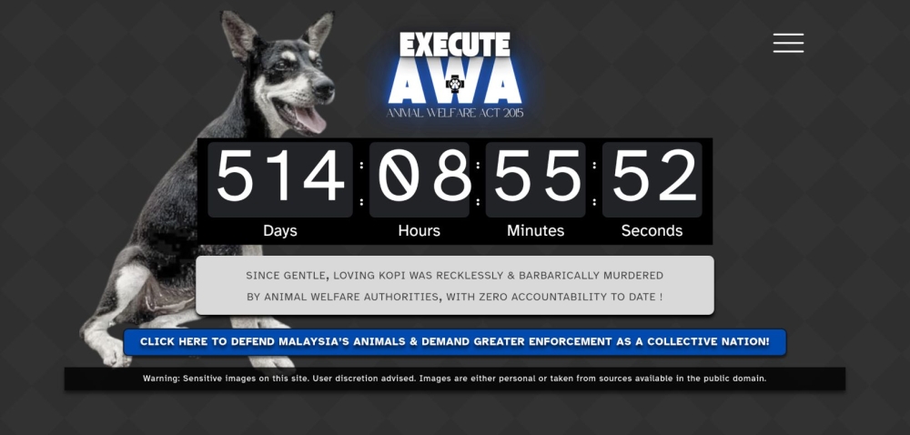 A screen capture shows the front page of the executeawa.com site.