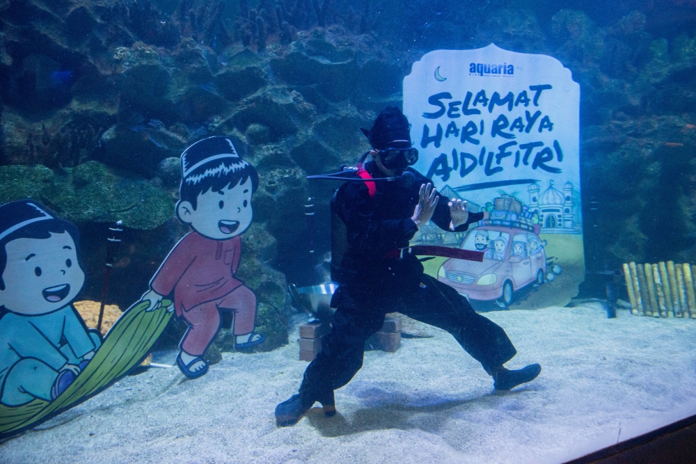 Every step and hand swing seems to be in slow motion, but that's the real challenge when traditional Malay martial arts are performed underwater. — Bernama pic