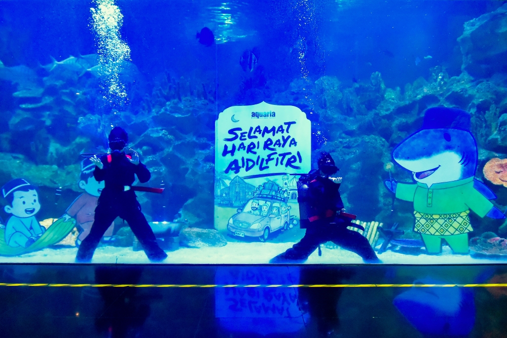 In a 4.2-metre deep aquarium filled with sharks, stingrays and thousands of other marine life, with a backdrop of works by legendary cartoonist Datuk Mohammad Nor Khalid or Datuk Lat, two divers slowly walked on the water's surface before beginning a martial arts move. — Bernama pic