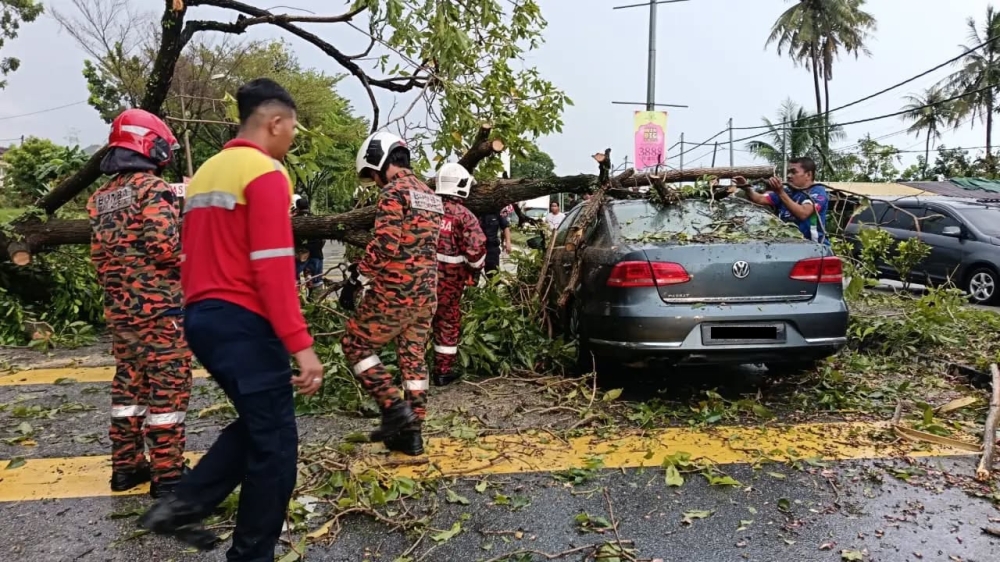 Authorities said heavy rain and strong winds toppled trees across several parts of the Kinta district. — Picture via Facebook