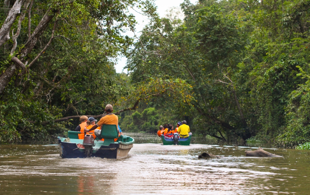 The Ormond Sandakan offers holidaymakers easy access to natural attractions like the Sepilok Orangutan Rehabilitation Centre and the Kinabatangan River. — Picture courtesy of the Ormond Group