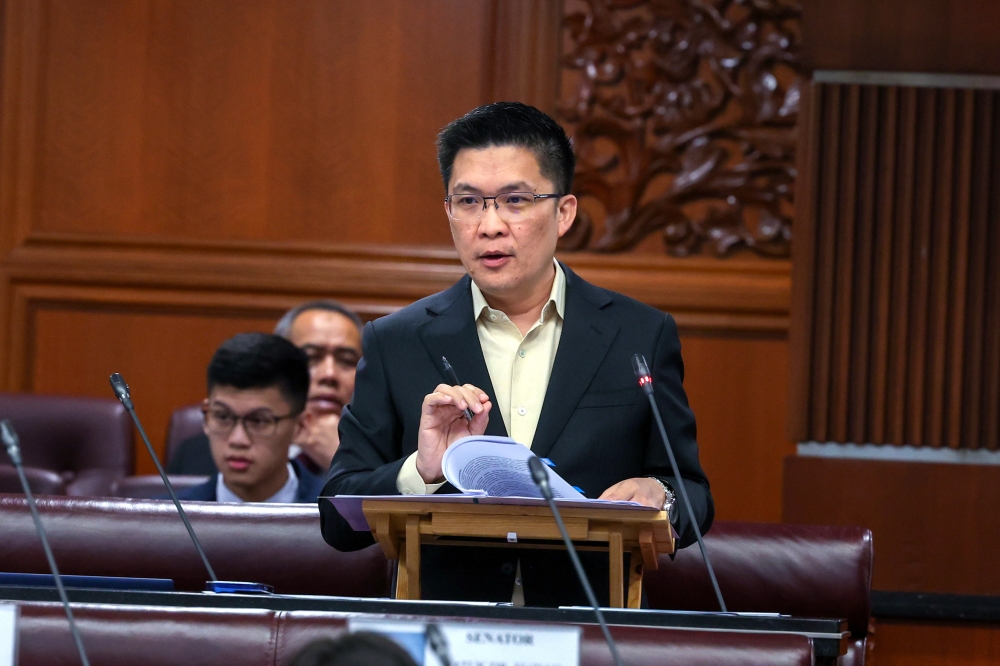 The implementation of the 2027 School Curriculum (KP2027) is expected to open wider opportunities for mainstream students to learn Malaysian Sign Language said Deputy Education Minister Wong Kah Woh. — Bernama pic