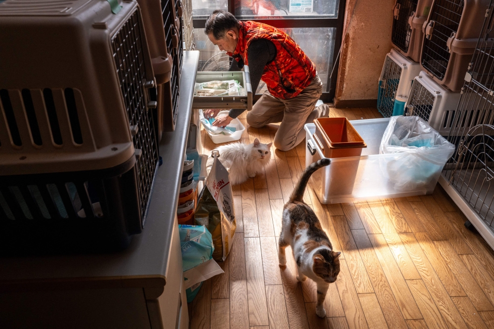 This picture taken on March 5, 2026 shows former nuclear plant worker Toru Akama feeding cats at his animal shelter in Namie, Fukushima prefecture. — AFP pic