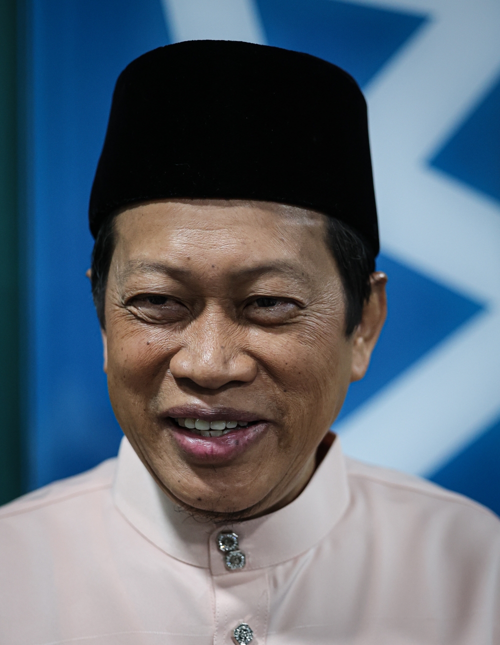 Datuk Seri Ahmad Maslan says Umno’s ‘Rumah Bangsa’ initiative has received positive feedback from former party leaders. — Bernama pic