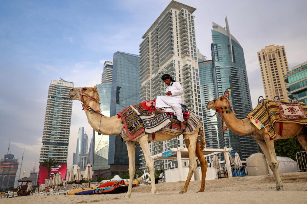 A cameleer checks his phone while sitting on his camel on the beach in Dubai on March 10, 2026. The Gulf countries have long been seen as islands of stability but the war in the region could threaten their prosperity, analysts said, pointing to risks to their revenues and reputations as business havens. — AFP pic