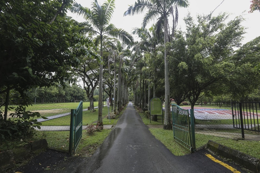 A general view of Taman Rimba Kiara in Taman Tun Dr Ismail, Kuala Lumpur, where the proposed apartment blocks were to be built on part of the public park’s land. — Picture by Yusof Isa