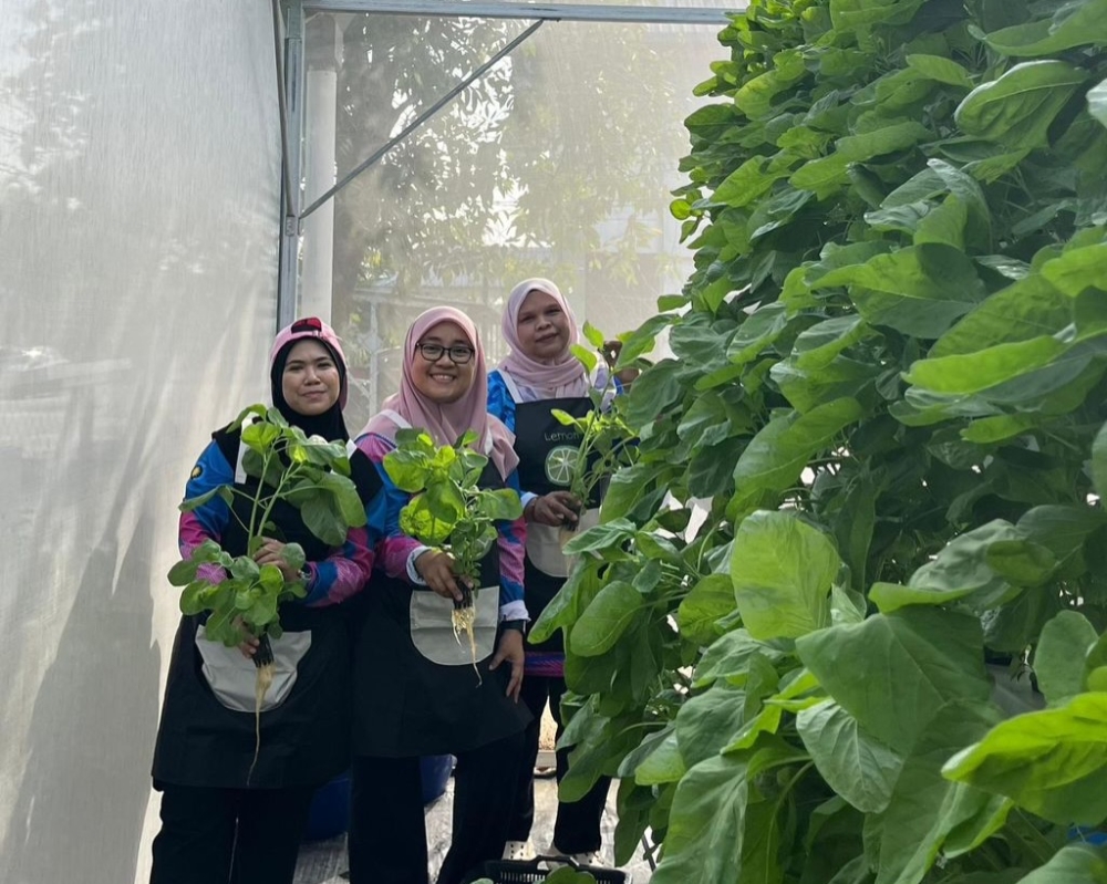 The Malaysian Armed Forces (MAF) Madani Economy Programme has generated about RM25,000 in income through the production of nearly one tonne of agricultural produce as of February this year. — Picture via Facebook/Kementerian Pertahanan Malaysia