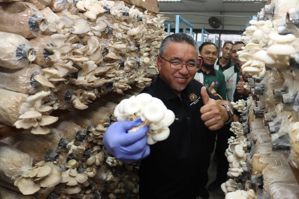Agricultural produce from the programme, particularly mushrooms grown using urban farming methods, is also available to the public at Pernama outlets located in military camps across the country. — Picture via Facebook/Perhebat