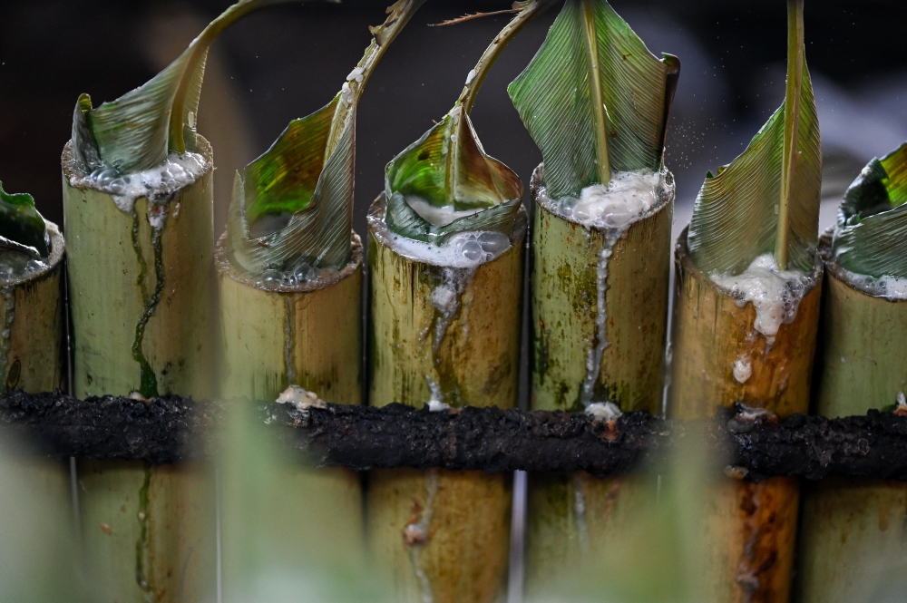 Bamboo tubes of glutinous rice roast over fire in Kuala Lumpur as ‘lemang’ season begins. — Bernama pic