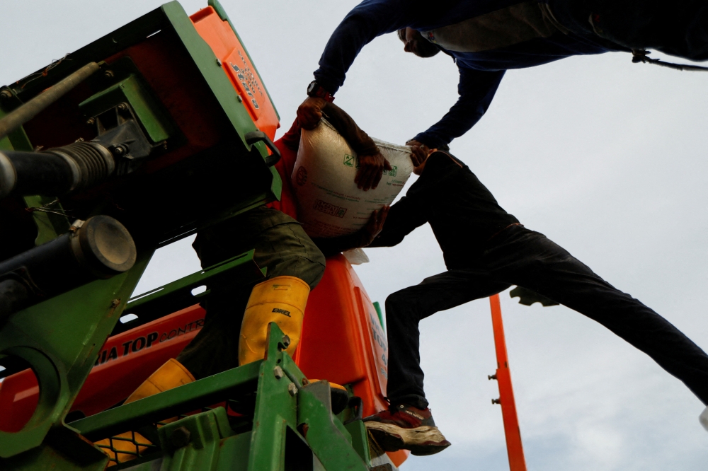 Farmers load fertiliser into the seed drill before starting to plant a corn field, in Turen, Portuguesa State, Venezuela June 27, 2024. — Reuters pic