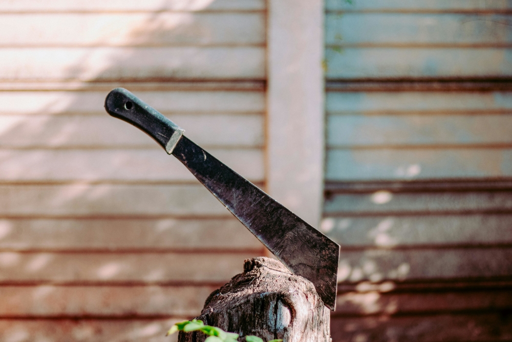 The charge under Sections 395 and 397 of the Penal Code carries a potential sentence of up to 20 years in prison along with whipping if convicted. — Pexels pic