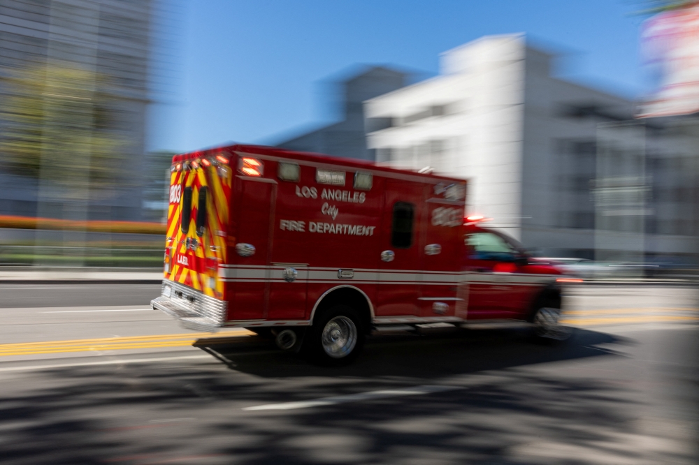 More than 70 workers with the Los Angeles County Department of Animal Care and Control were involved in the rescue, along with members of animal welfare organizations. — Reuters pic
