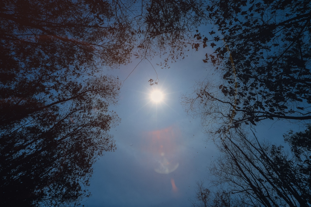 Severe heat and water shortages since early March 2026 are threatening to disrupt tap water supply as well as farms and fisheries in Kedah and Perlis. — Picture by Raymond Manuel 